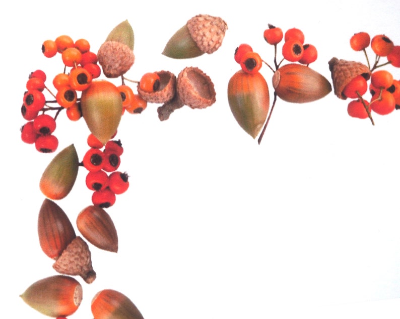 Acorns and Berries Digital Border Fall Printable Border - Etsy