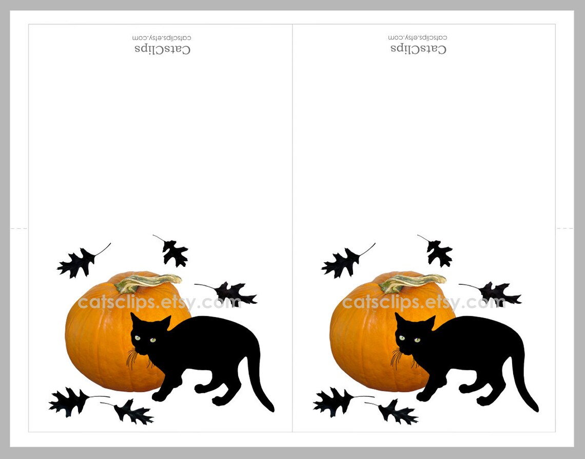 Small Black Cat With Pumpkin Printable Card Black Cat Digital | Etsy
