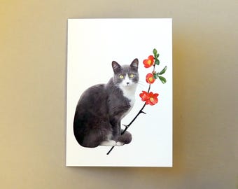 Cat Quince Flowers Spring Card
