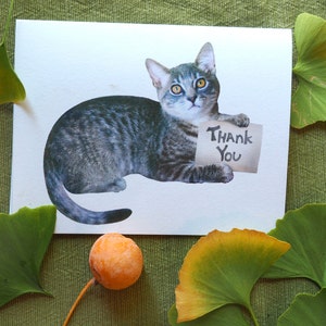 Printable Kitten Thank You Card