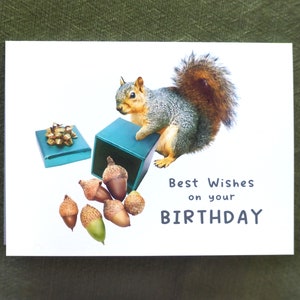 Squirrel with Box of Acorns Birthday Card