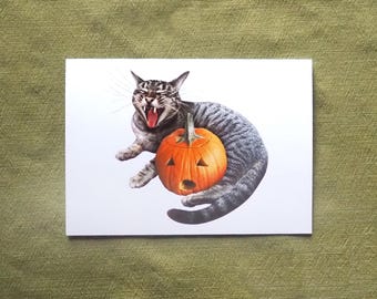 Laughing Tabby Cat Halloween Card