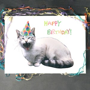 Biglietto di auguri di compleanno stampabile con gatto che miagola