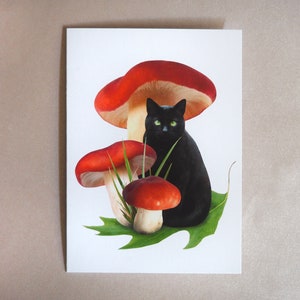 Carte Champignons Rouges Chat Noir