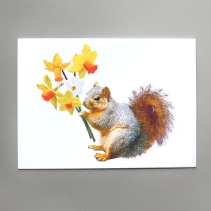Carte de jonquilles d'écureuil, carte de fleurs de printemps d'écureuil