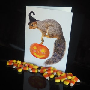 Witch Squirrel with Jack-o-Lantern Printable Halloween Card, Digital Squirrel Halloween Card image 3