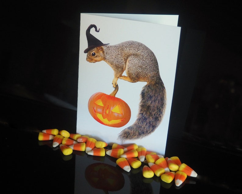 Witch Squirrel with Jack-o-Lantern Printable Halloween Card, Digital Squirrel Halloween Card image 3
