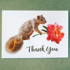 Squirrel Peony Thank You Card