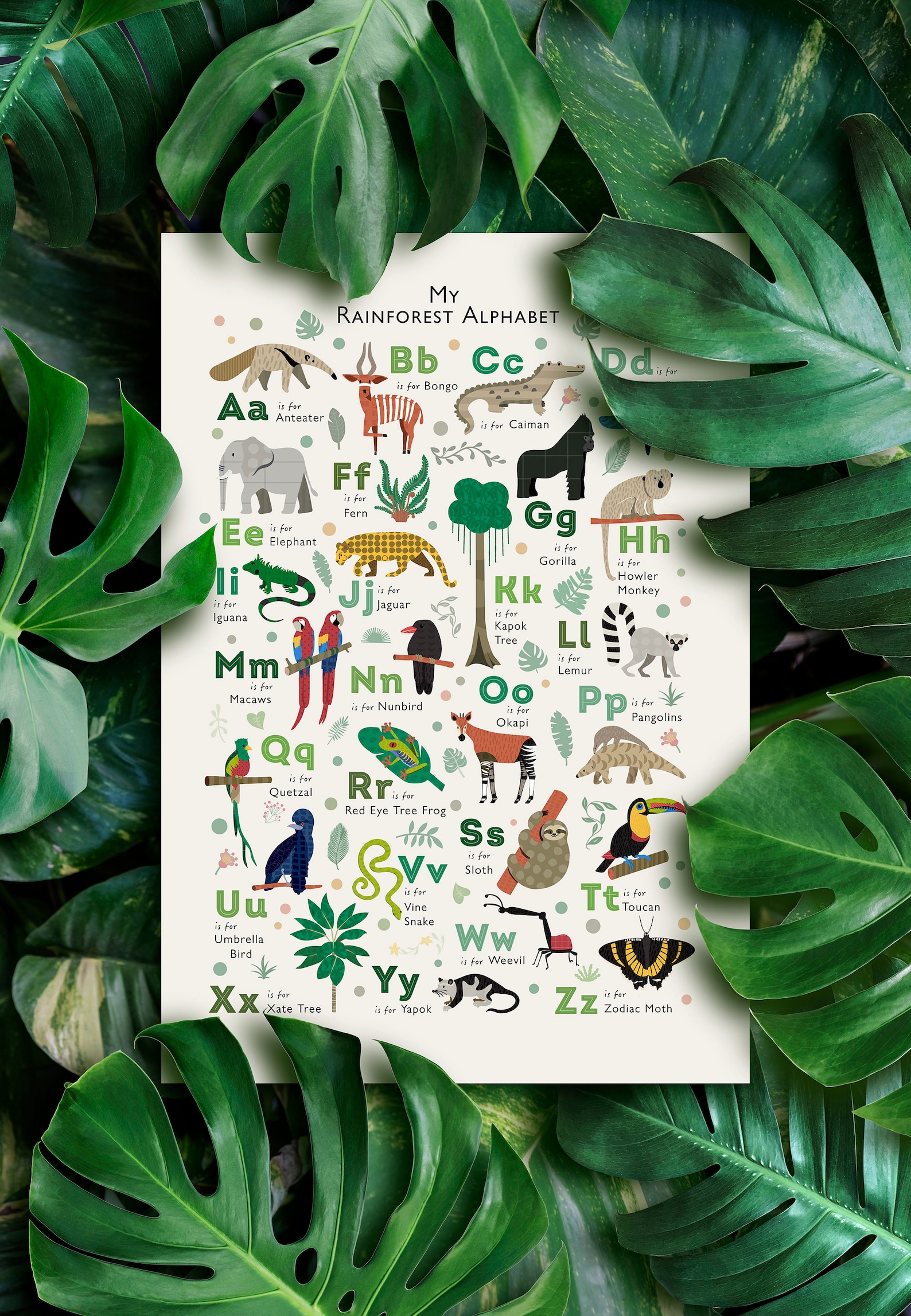 Rainforest Alphabet Art Print Tropical Jungle Animal Nursery | Etsy