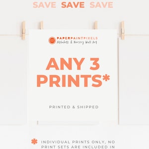 Any 3 Prints - Get 3 Paperpaintpixels Prints and Save 20%