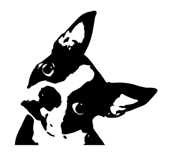 Boston Terrier Outline Svg