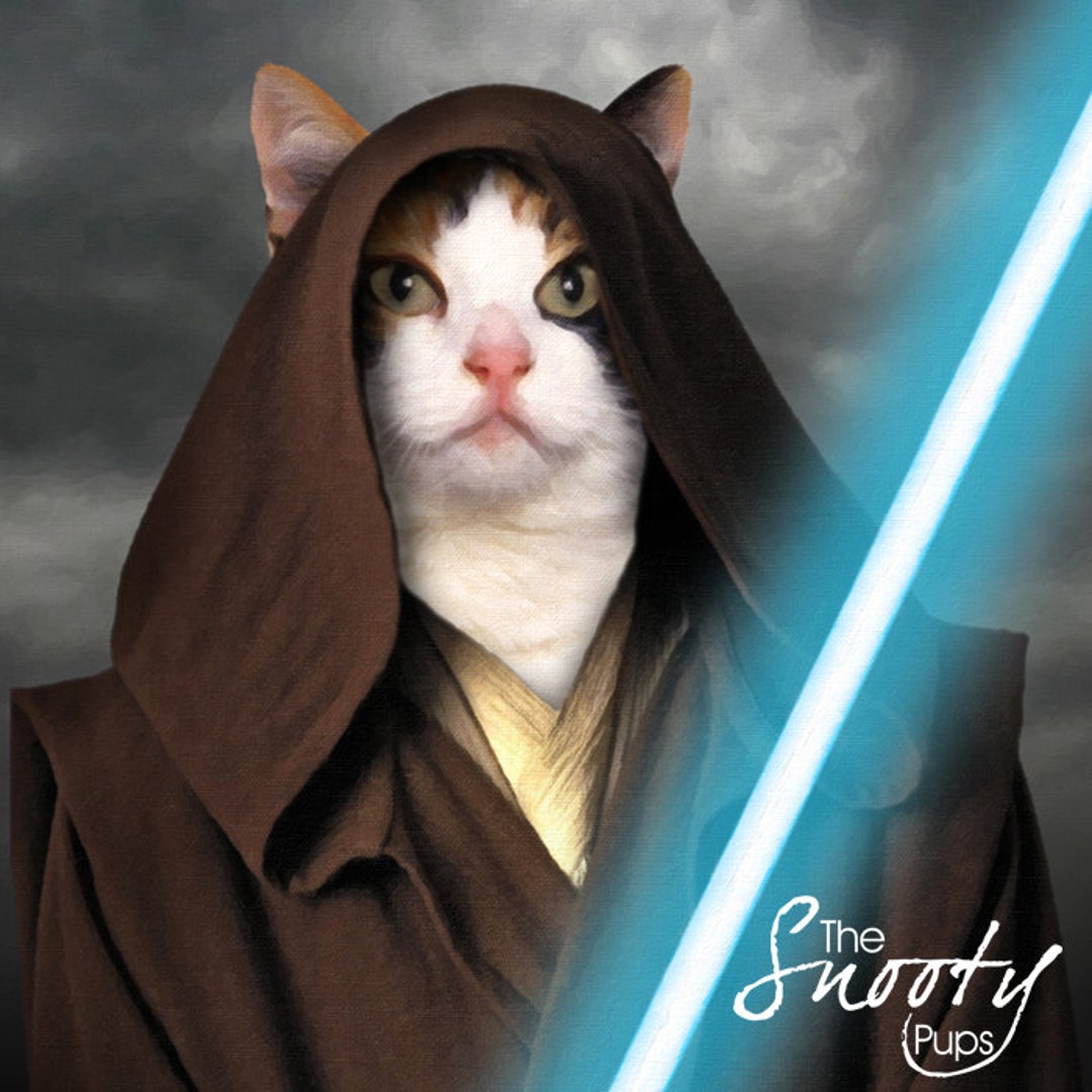 jedi-cat-portrait-star-wars-obi-wan-pet-portraits-custom-etsy