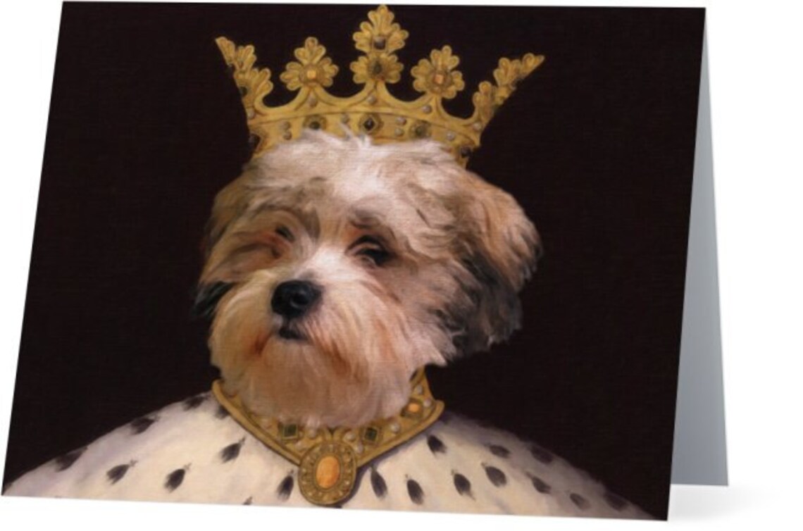 Pet Portrait Notecards Cat Portrait Note Cards Dog Etsy