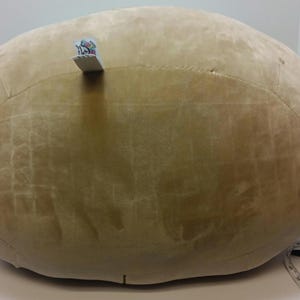 May include: A large, round, light brown plush pillow with a textured surface. A small tag is attached to the top. The pillow is likely for home decor or comfort.