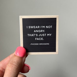 Phoebe Bridgers Sticker — Phoebe Bridgers Laptop Sticker // Phoebe Bridgers Lyrics // Phoebe Bridgers Gift // Punisher Phoebe Bridgers