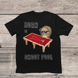 Better bring your A game and your favorite pool stick when you play against the Hedgehog. image 9