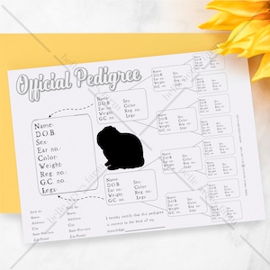 Rabbit Pedigree Template, Rabbitry Pedigree, Printable Pedigree, DIY Template for Pedigree, Fillable Pedigree, Custom pedigree, customizable