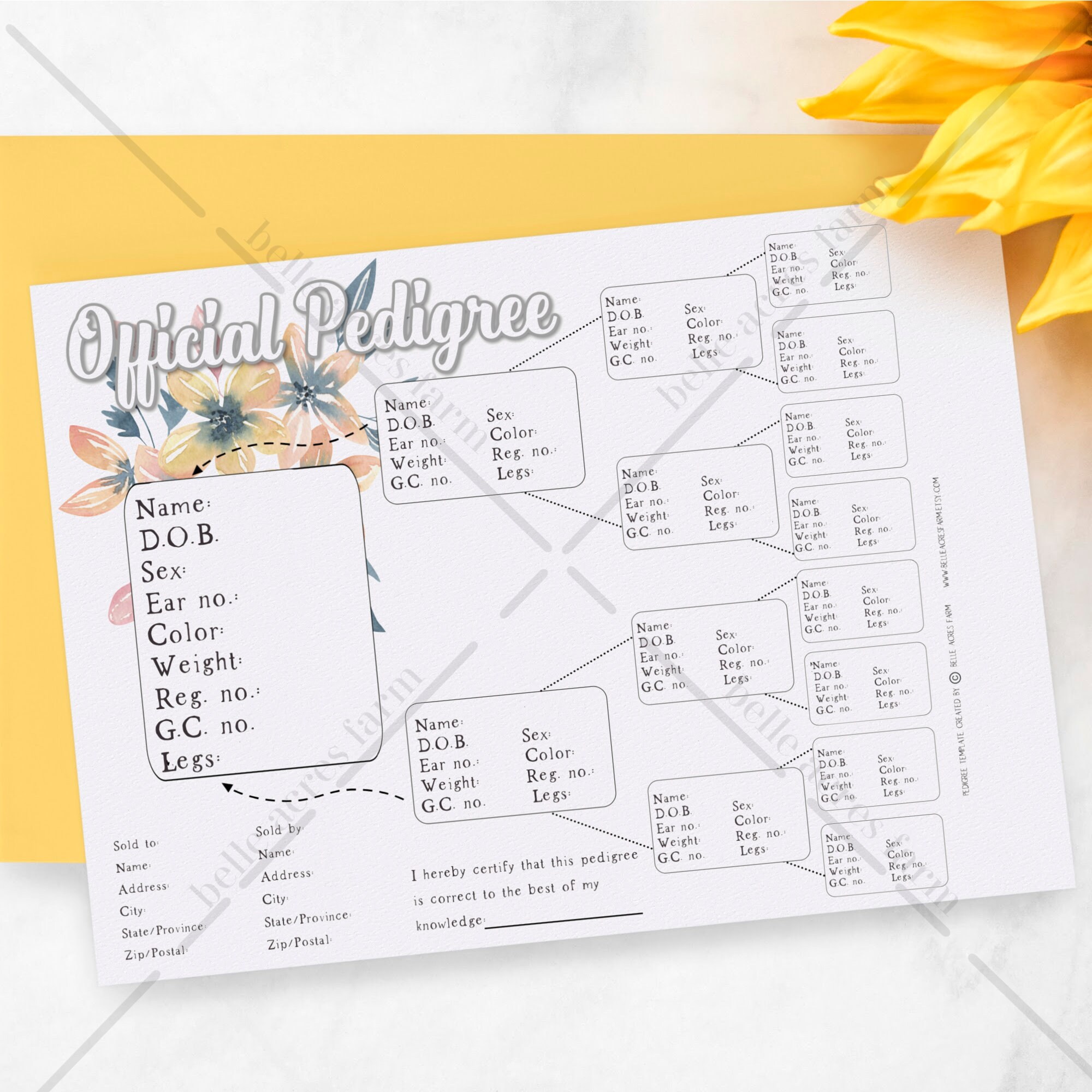 Rabbit Pedigree Template Rabbitry Pedigree Printable | Etsy