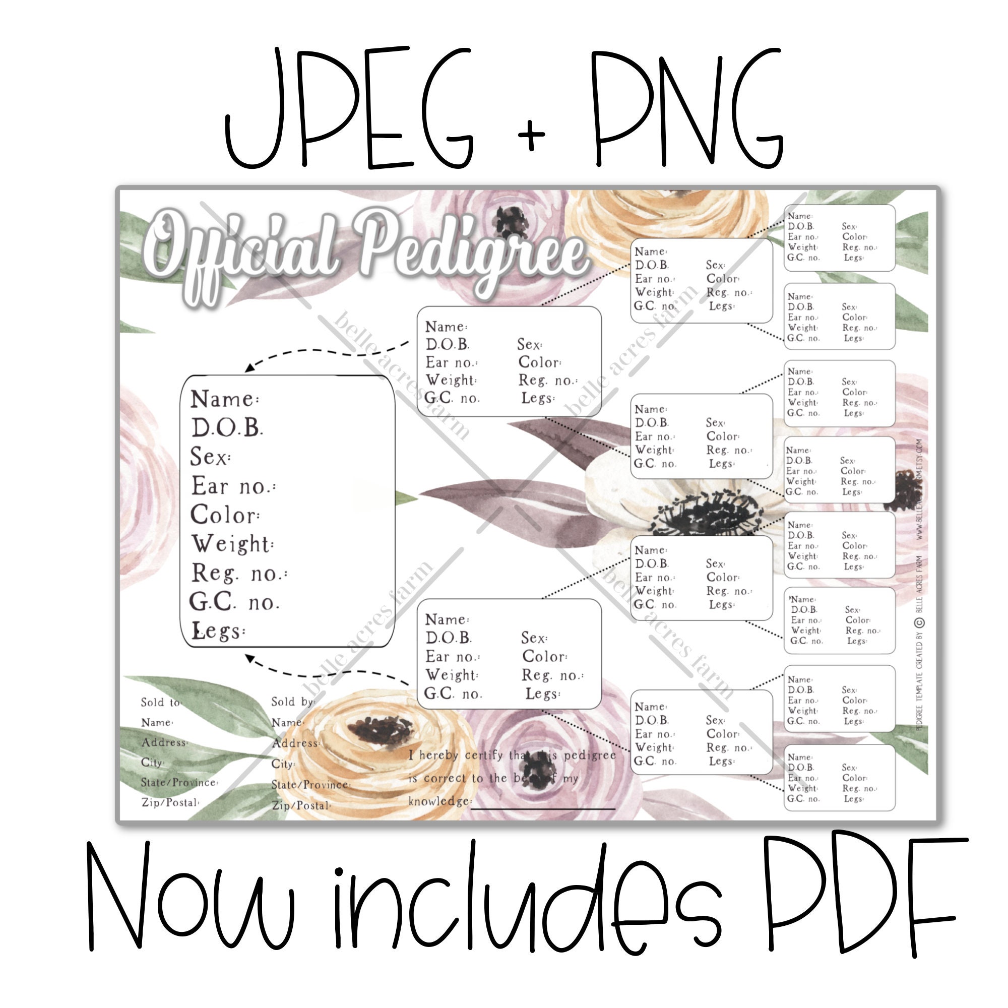 Rabbit Pedigree Template, Rabbitry Pedigree, Printable Pedigree, DIY