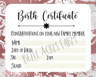 Pet Birth Certificate, Bunny Birth Certificate, Rabbitry Birth Record, Stuffed Animal Birth Certificate, Party supplies, adoption adopt