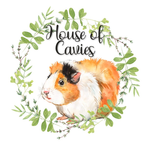 Cavy Logo, Caviary Logo, Guinea pig Logo, ARBA Show Breeder, Guineapig, Rodent, Cavys Supplies, Custom Logo