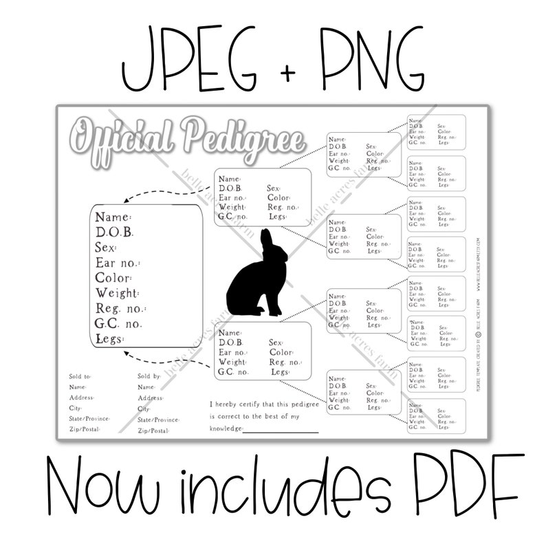 Rabbit Pedigree Template Rabbitry Pedigree Printable Etsy Rabbit Pedigree Template Rabbitry Pedigree Printable Etsy