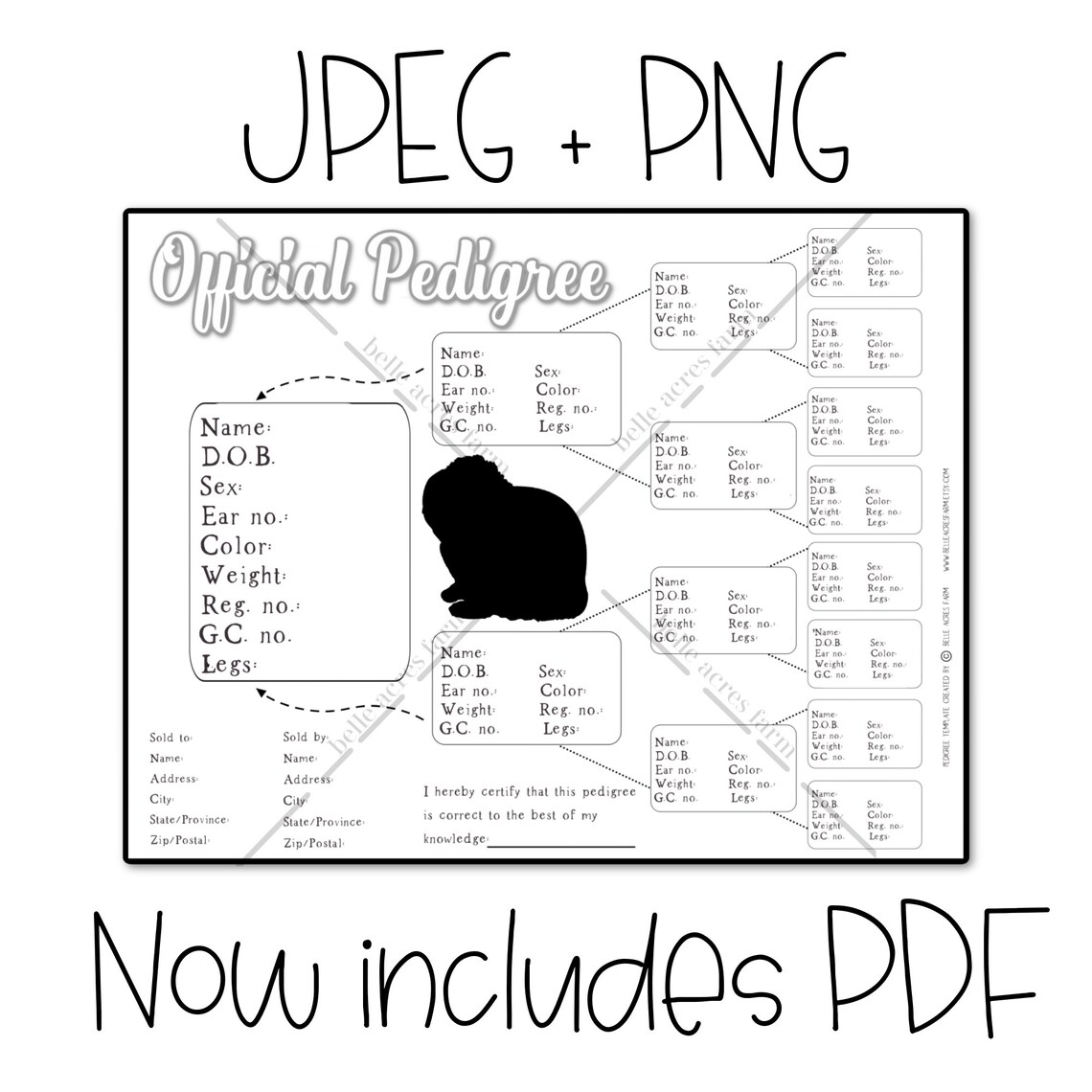 Rabbit Pedigree Template, Rabbitry Pedigree, Printable Pedigree, DIY Template for Pedigree ...