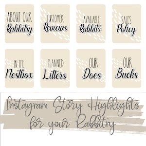 Rabbitry Instagram Highlight Icons, Rabbit Breeder IG, Insta, Highlights, Images, Icons, Branding, ARBA Rabbitry