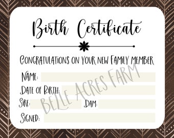 Pet Birth Certificate, Bunny Birth Certificate, Rabbitry Birth Record, Stuffed Animal Birth Certificate, Party supplies, adoption adopt
