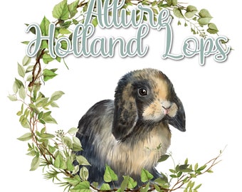 Rabbit Logo Rabbitry Logo Rabbitry Branding Holland Lops French Lops Mini Lops lop Rabbit breeder arba