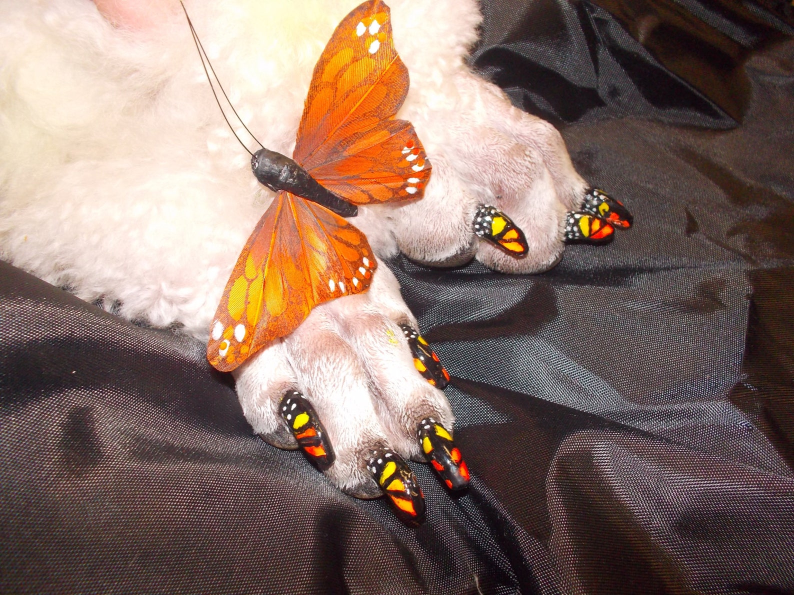 Dog Nail Polish Pens Etsy