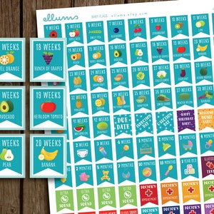 Pregnancy Planner Stickers PRINTABLE Instant Download DIY - Etsy