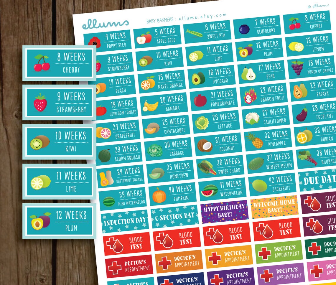 Pregnancy Planner Stickers | PRINTABLE Instant Download | DIY Baby ...