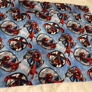 Spider-Man entra en acción Funda de almohada para niños pequeños