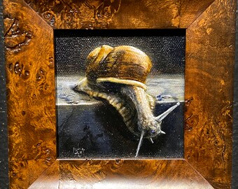 Snail Study Framed Snail Painting