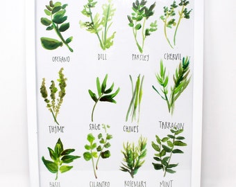 May include: A white framed print with watercolor illustrations of 12 different herbs. The herbs are labeled with their names: oregano, dill, parsley, chervil, thyme, sage, chives, tarragon, basil, cilantro, rosemary, and mint.
