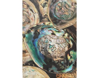 Abalone Shell Illustration | Living Room Wall Decor | Realistic Abalone Seashell Drawing | Coastal Landscape | Large Wall Art