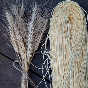 May include: A bundle of dried wheat stalks tied together with twine, next to a spool of natural beige twine.
