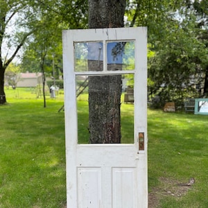 Antique Wood Wavy Glass Exterior Entry Door Reclaimed Victorian Pantry Laundry Architectural Salvage Restoration 32" x 79.75" DR86