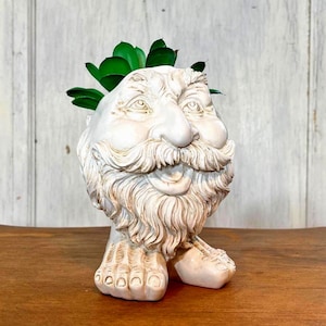 Wizard Head Planter Pot w/ Feet Beard Man Face ER68