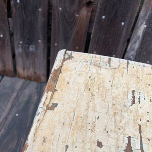 Rustic Birch Wood Log Step Stool Wood Plant Stand Riser DM5 - Etsy