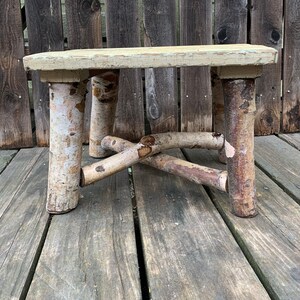 Rustic Birch Wood Log Step Stool Wood Plant Stand Riser DM5 - Etsy