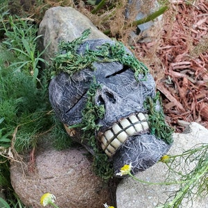 Realistic Handmade Mossy Mummy Skull