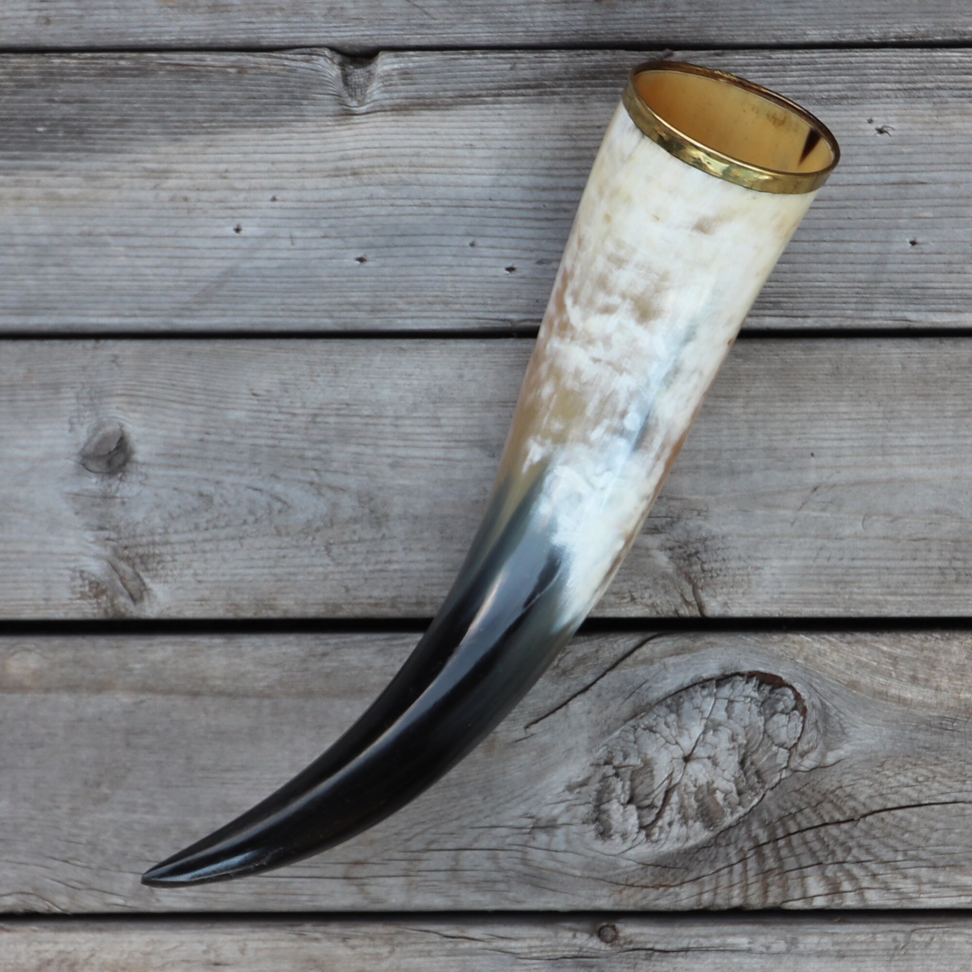 Horn of Olaf Bloody Peacock Feather Medieval Drinking Horn Etsy