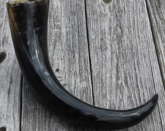 Details about   Anglo Saxon Roe Deer Drinking Horn Sold By Thorinstruments Co 