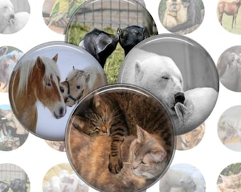 Affectionate Animal Collage Sheet, 1 Inch Circles, 20 Images, Printable Download, Animal Images, Digital Animals, Printable Images