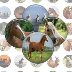 Horses Collage Sheet, 1 Inch Circles, 35 Images, Instant Download, Printable Horses, Digital Horse, Download Horses, Printable Images