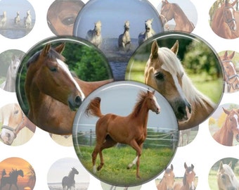 Horses Collage Sheet, 1 Inch Circles, 35 Printable Images (Digital Download)