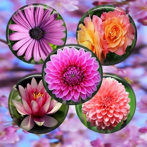 Flowers Collage Sheet, 1 Inch Circles, 42 Images, Instant Download, Printable Flowers, Flower Images, Digital Flowers, Printable Images