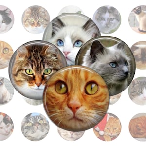 Cats Collage Sheet, 1 Inch Circles, 30 Images, Printable Download, Downloadable Cats, Round Cat Image, Digital Cats, Printable Images